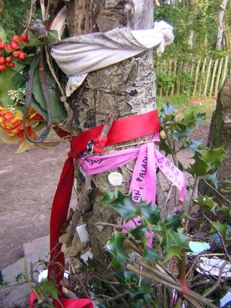 Baum an einem Ritualplatz fr Hexen, mit Wunschbndern und Blumen